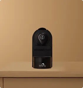 THE DOLPHY COLLECTION