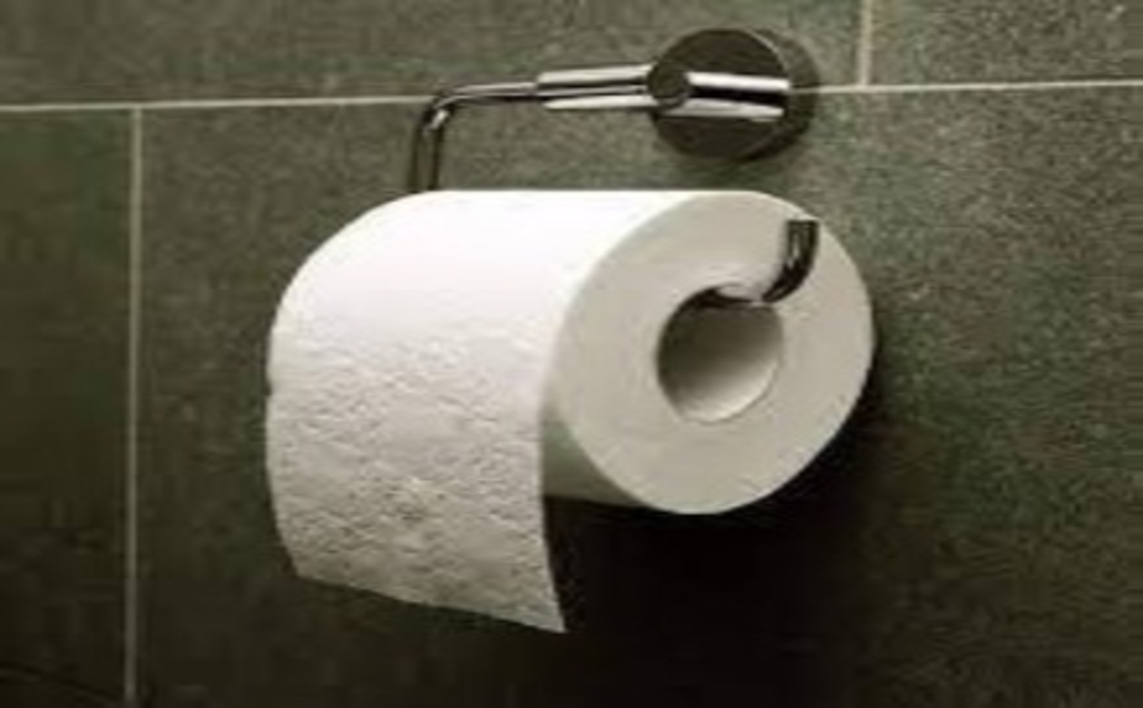 The Best Toilet paper in the World 2024 Guide