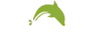 Dolphy