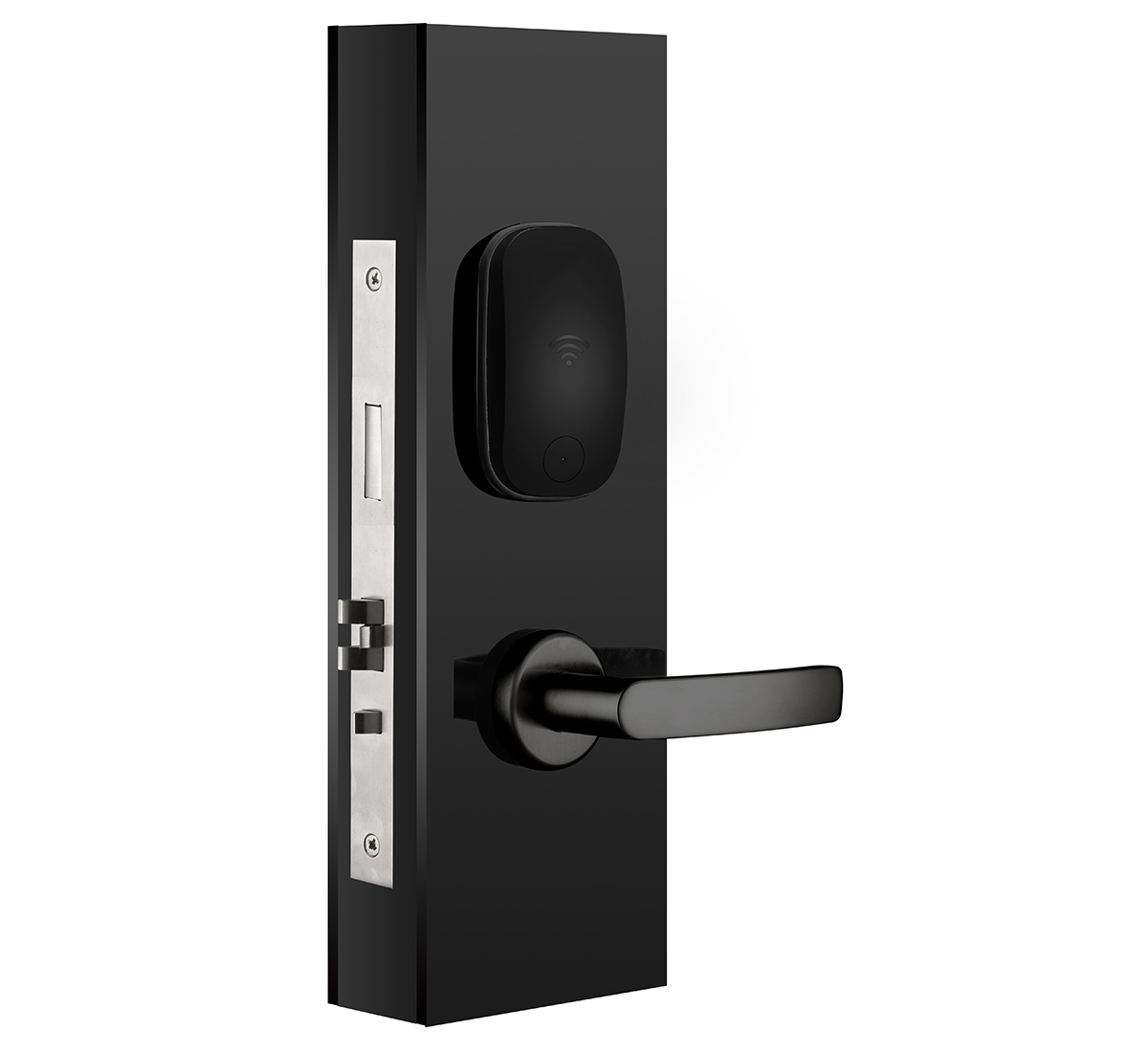 Matte black RFID door lock with black handle

